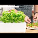 6 Innovative Best  Kitchen Gadgets You Must Have | Best Kitchen Gadgets Put To The Test On Amazon